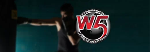 w5 professional kickboxing v2